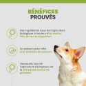 Specific C-BIO-W Organic au poisson