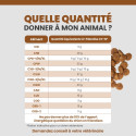 Specific CTIS intestinal support sausages