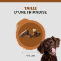 Specific CTIS intestinal support sausages