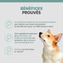 Specific CTDCS Dental chew small