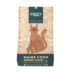 ZIGGY CROQUETTE MAINE COON AD POU  25KG