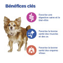 Vet Essentials Chien MultiBenefit Adult Small&Mini A.&R.