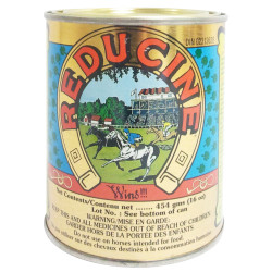 REDUCINE ABSORBENT PATE        POT 454 G