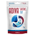 ADIVA GASTRIC MED LARGE SCHT 30 CHEWS