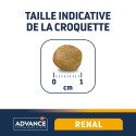 ADVANCE VD CN RENAL 3KG
