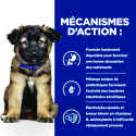 Chien id Digestive Care Puppy Poulet