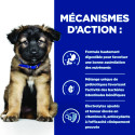 Chien id Digestive Care Puppy Poulet Boîte