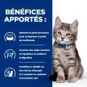 Chat id Digestive Care Kitten Poulet