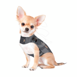 Gilet antianxiété ThunderShirt pour chien
