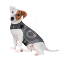 Gilet antianxiété ThunderShirt pour chien