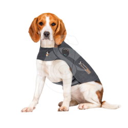 Gilet antianxiété ThunderShirt pour chien