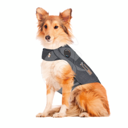 Gilet antianxiété ThunderShirt pour chien