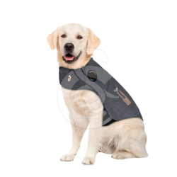 Gilet antianxiété ThunderShirt pour chien
