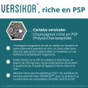 Versikor 250 mg chat - 60 bouchées