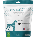 Versikor 500 Chien