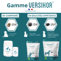 Versikor 500 Chien