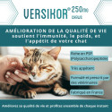 Versikor 250 mg chat - 60 bouchées