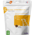Easypill Chien Confort Hépatique