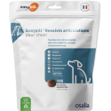 Easypill Chien Resolvin Articulation
