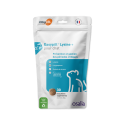 Easypill Lysine  Chat