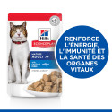 Chat Mature Adult 7 Poisson de l'océan Sachet repas