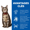 Chat Adult Poisson de l'océan Sachet repas