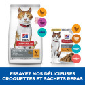 Chat Adult Sterilised Cat Saumon Sachet repas