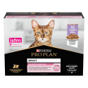 Cat Adult Delicate Digestion Dinde Sauce Sachet repas