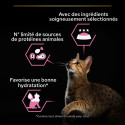 Cat Adult Delicate Digestion Dinde Sauce Sachet repas