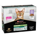 PP Cat adult Sterilised Maintenance Dinde Gelée Sachet repas