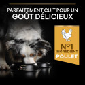 Dog Medium Adult Poulet Optibalance