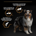 Dog Medium Adult Poulet Optibalance