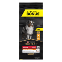Dog Medium Adult Poulet Optibalance