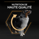 Dog Medium Adult Poulet Optibalance