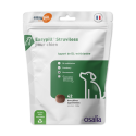 Easypill Chien Struviless