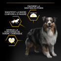 Dog All Size Adult Light Sterilised Chicken Optiweight