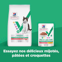 Vet Essentials Chat MultiBenefitWeight Young Adult Saumon
