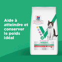 Vet Essentials Chat MultiBenefitWeight Young Adult Saumon