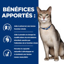 Chat kd Kidney Poulet
