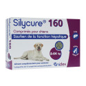 Silycure 160mg