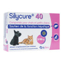 Silycure 40mg