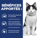 Chat jd Metabolic  Mobility Poulet