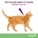Vectra Felis - 12 pipettes antiparasitaires chat