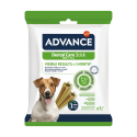 Advance Chien Snack Dental Mini