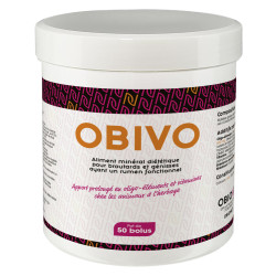 OBIONE Obivo