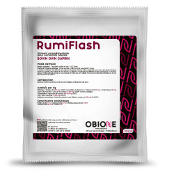 Rumi'Flash
