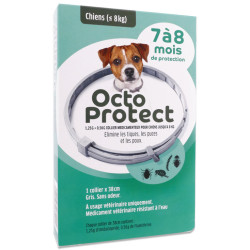 Octoprotect collier Petit Chien