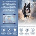 ICF CLX WIPES POCKET 20 LINGETTES