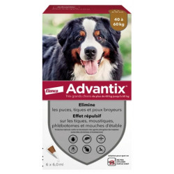 Advantix Tres Grand Chien 4060 kg
