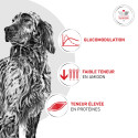 Dog Glycobalance